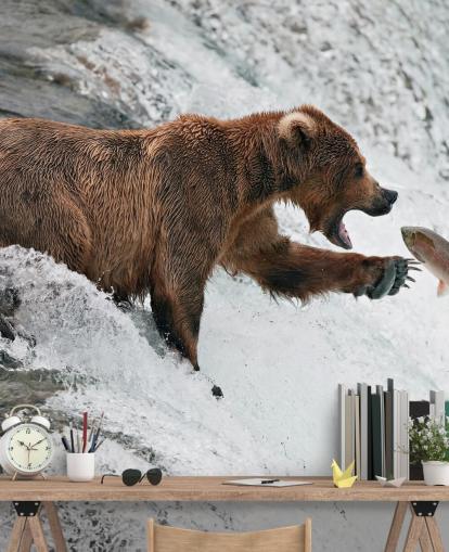 bear catching fish wallpaper bear catching fish wallpaper