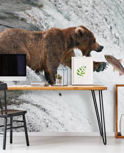 bear catching fish wallpaper bear catching fish wallpaper