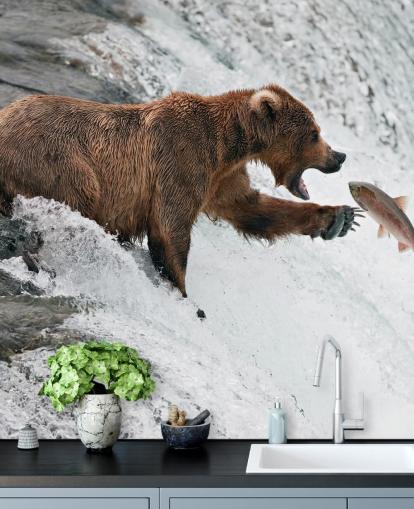 fondo de pantalla bear catching fish