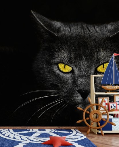 svart katt ansikte med gula ögon tapeter svart katt ansikte med gula ögon tapeter