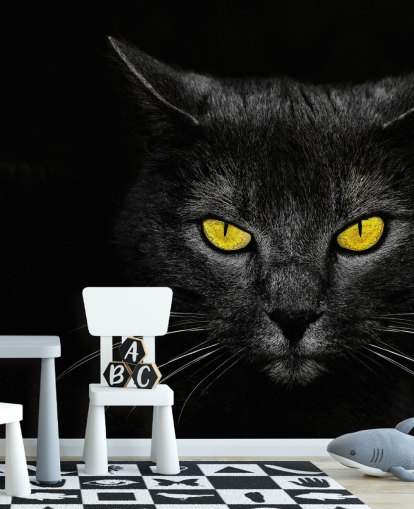 schwarze Katzengesicht mit gelben Augen Tapete schwarze Katzengesicht mit gelben Augen Tapete