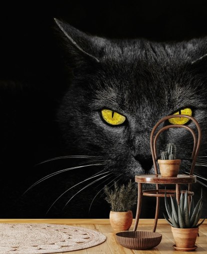 black cat face with yellow eyes wallpaper black cat face with yellow eyes wallpaper