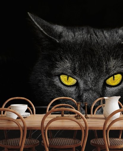 papel pintado de cara de gato negro con ojos amarillos papel pintado de cara de gato negro con ojos amarillos