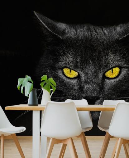 visage de chat noir avec des yeux jaunes papier peint