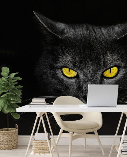 schwarze Katzengesicht mit gelben Augen Tapete schwarze Katzengesicht mit gelben Augen Tapete