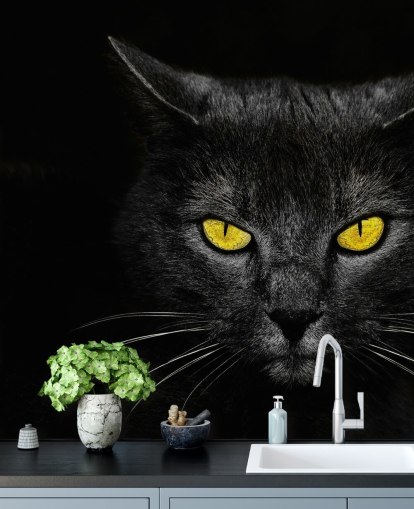 black cat face with yellow eyes wallpaper