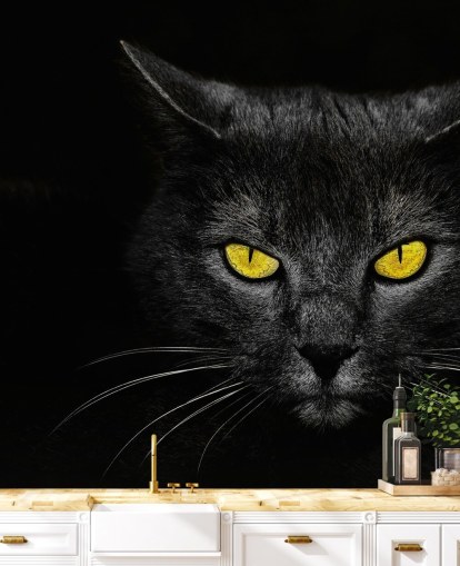 papel pintado de cara de gato negro con ojos amarillos