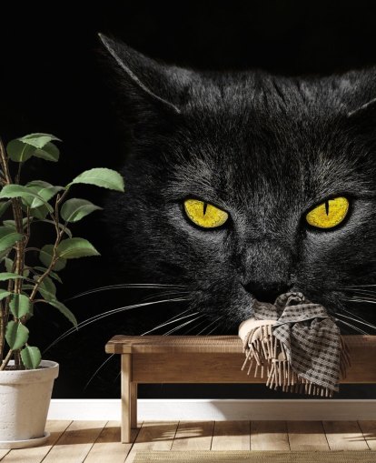 carta da parati faccia di gatto nero con occhi gialli carta da parati faccia di gatto nero con occhi gialli
