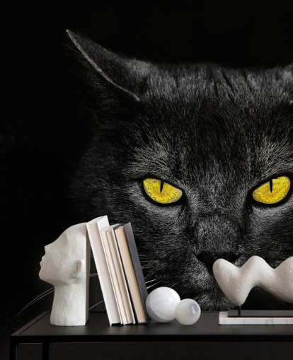 schwarze Katzengesicht mit gelben Augen Tapete