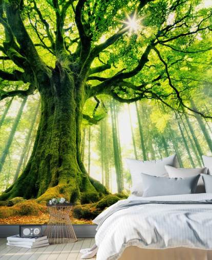 mural verde personalizable de papel pintado de árbol llamado Mother Tree para dormitorios y cocinas