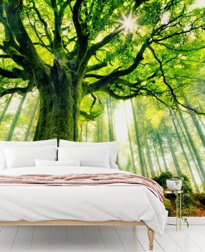 green customisable tree wallpaper mural called Mother Tree for bedrooms and kitchens
