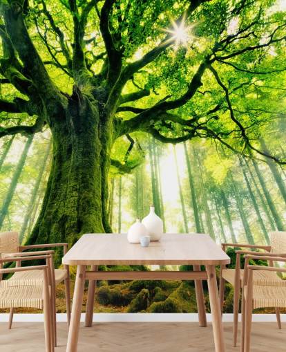 papier peint mural vert personnalisable appelé Mother Tree pour les chambres et les cuisines