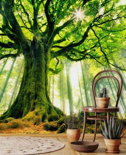 carta da parati murale verde personalizzabile con albero chiamato Mother Tree per camere da letto e cucine