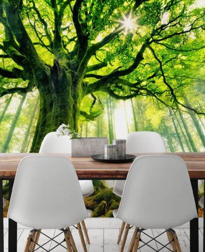 green customizable tree wallpaper mural called Mother Tree for bedrooms and kitchens