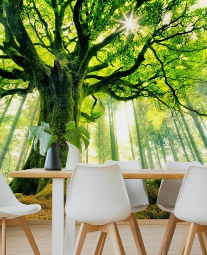 mural verde personalizable de papel pintado de árbol llamado Mother Tree para dormitorios y cocinas