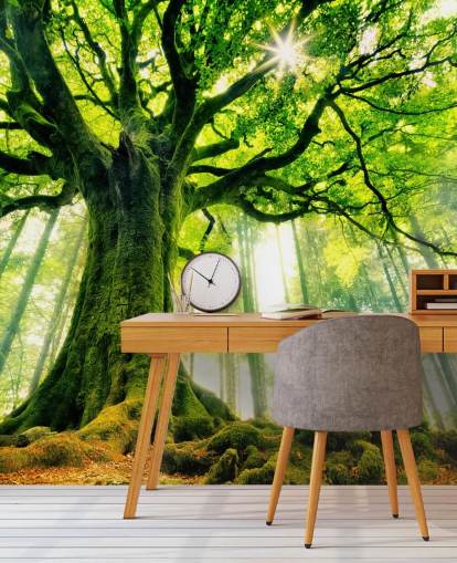 mural de papel de parede de árvore verde personalizável chamado Mother Tree para quartos e cozinhas