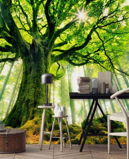 papier peint mural vert personnalisable appelé Mother Tree pour les chambres et les cuisines