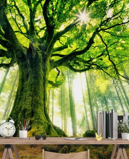papier peint mural vert personnalisable appelé Mother Tree pour les chambres et les cuisines