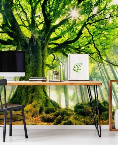 carta da parati murale verde personalizzabile con albero chiamato Mother Tree per camere da letto e cucine