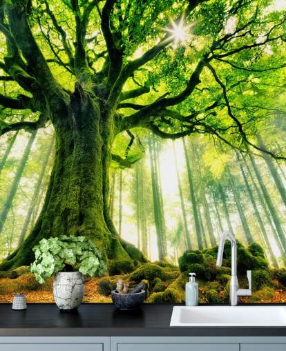 papier peint mural vert personnalisable appelé Mother Tree pour les chambres et les cuisines