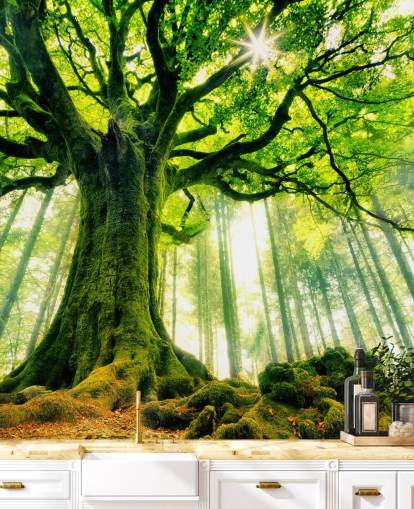 green customisable tree wallpaper mural called Mother Tree for bedrooms and kitchens