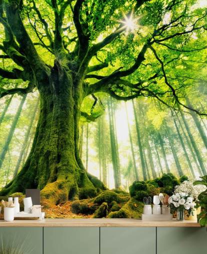 green customisable tree wallpaper mural called Mother Tree for bedrooms and kitchens