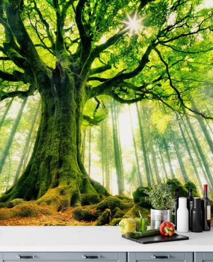 papier peint mural vert personnalisable appelé Mother Tree pour les chambres et les cuisines papier peint mural vert personnalisable appelé Mother Tree pour les chambres et les cuisines