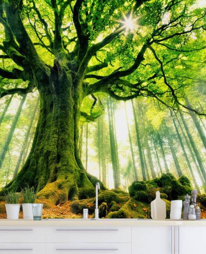 carta da parati murale verde personalizzabile con albero chiamato Mother Tree per camere da letto e cucine
