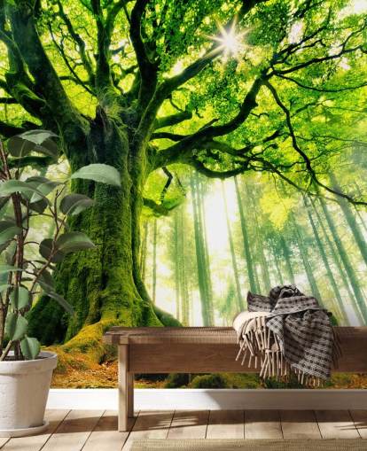 papier peint mural vert personnalisable appelé Mother Tree pour les chambres et les cuisines