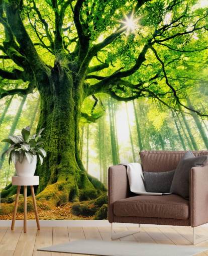 papier peint mural vert personnalisable appelé Mother Tree pour les chambres et les cuisines papier peint mural vert personnalisable appelé Mother Tree pour les chambres et les cuisines
