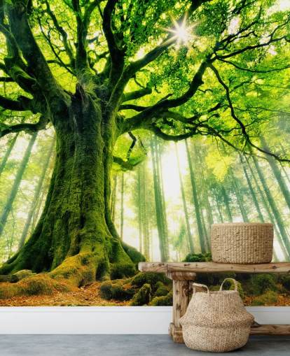 grønt tilpasseligt træ tapet vægmaleri kaldet Mother Tree til soveværelser og køkkener grønt tilpasseligt træ tapet vægmaleri kaldet Mother Tree til soveværelser og køkkener