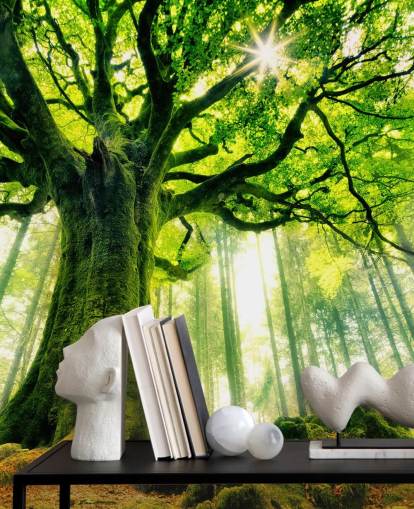 green customizable tree wallpaper mural called Mother Tree for bedrooms and kitchens green customizable tree wallpaper mural called Mother Tree for bedrooms and kitchens