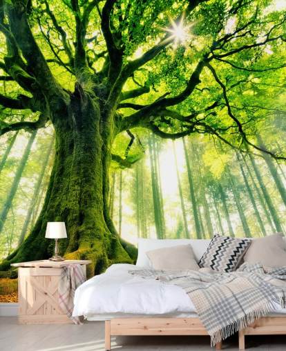 green customisable tree wallpaper mural called Mother Tree for bedrooms and kitchens