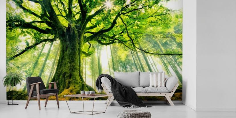 papier peint mural vert personnalisable appelé Mother Tree pour les chambres et les cuisines