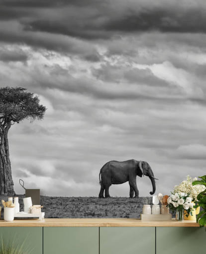 mural elefante y árbol blanco y negro mural elefante y árbol blanco y negro