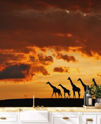 Papier Peint Giraffe Sunset Papier Peint Giraffe Sunset