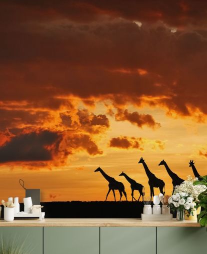 Giraffe Sunset Hintergrundbild