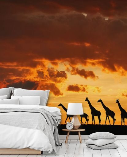 Giraffe Sunset Wallpaper Giraffe Sunset Wallpaper