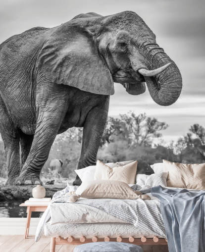 Svart og hvit elefant Svart og hvit elefant