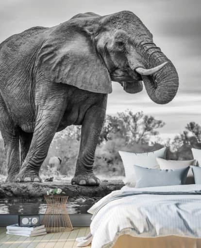 Elefante blanco y negro