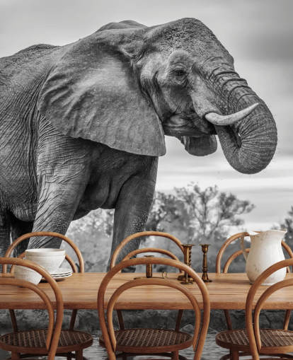 Black and White Elephant