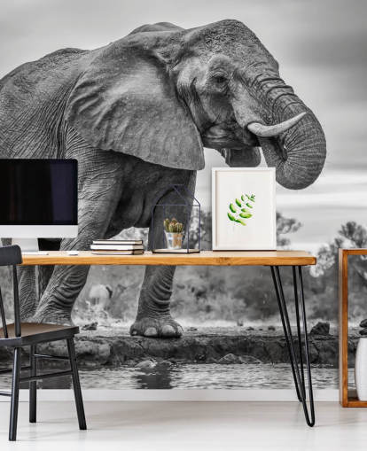 Sort og hvid elefant