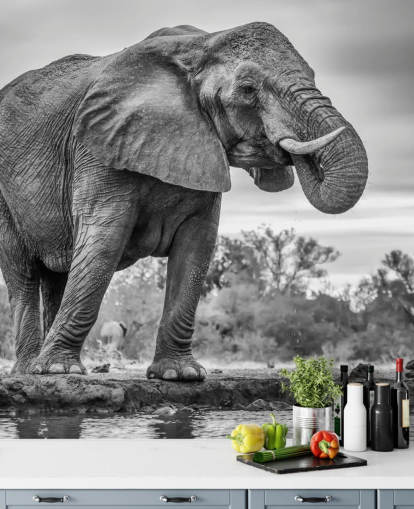 Sort og hvid elefant