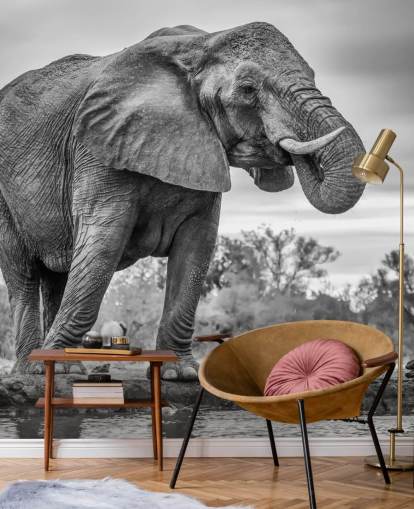 Elefante bianco e nero Elefante bianco e nero