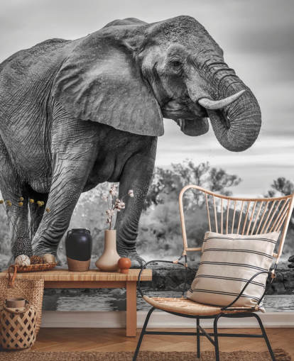 Eléphant noir et blanc