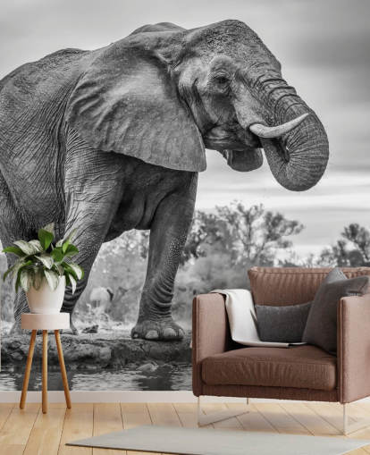 Sort og hvid elefant