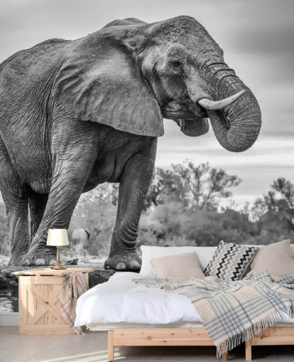 Eléphant noir et blanc