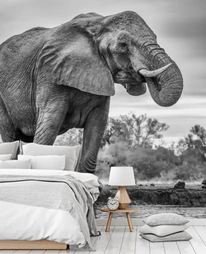 Zwarte en witte olifant