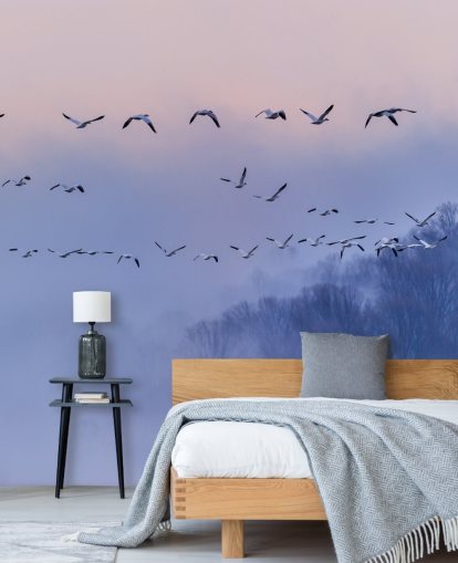 Snow Geese Bird Wallpaper