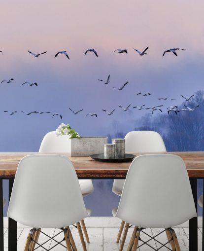 Papel de Parede Snow Geese Bird Papel de Parede Snow Geese Bird